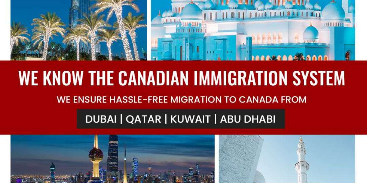 Should I Apply for the Canadian Permanent Residency (Express Entry) on My Own or Through a Best Canada Immigration