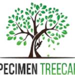Speci Men Tree Care
