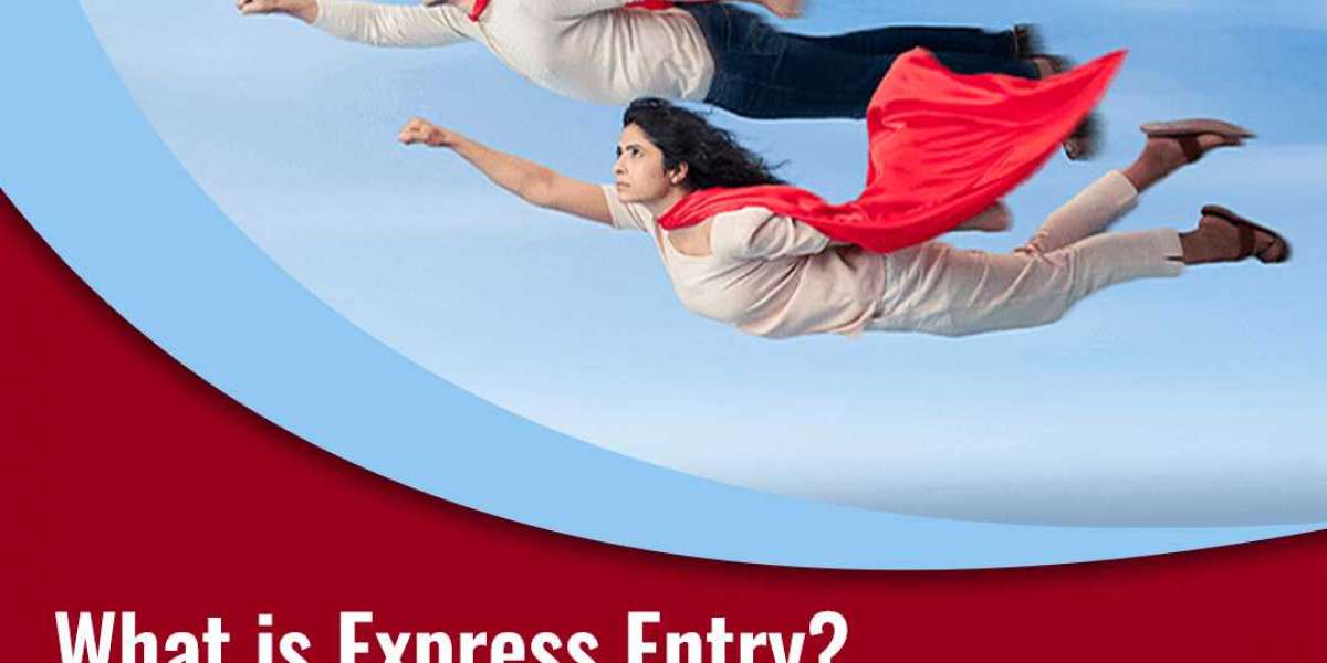 Should I Apply for the Canadian Permanent Residency (Express Entry) on My Own or Through a Best Canada Immigration Consu