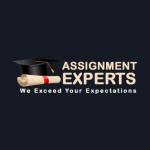 Assignment Experts Profile Picture