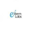 Extern Labs Inc Profile Picture