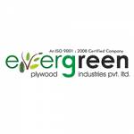 evergreenply Profile Picture