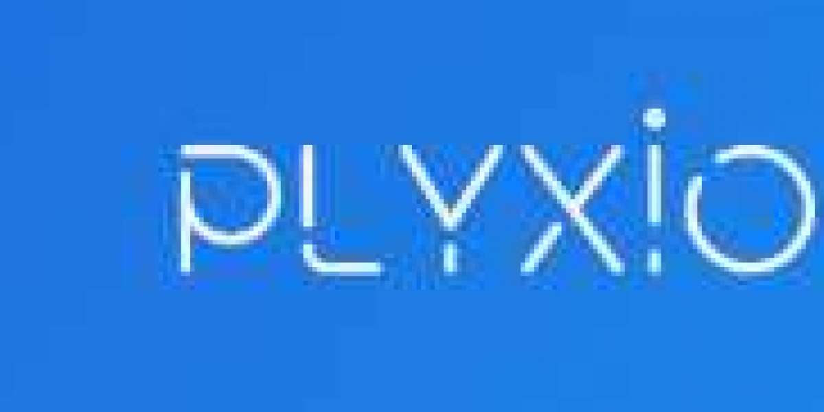 Plyxio Digital Agency
