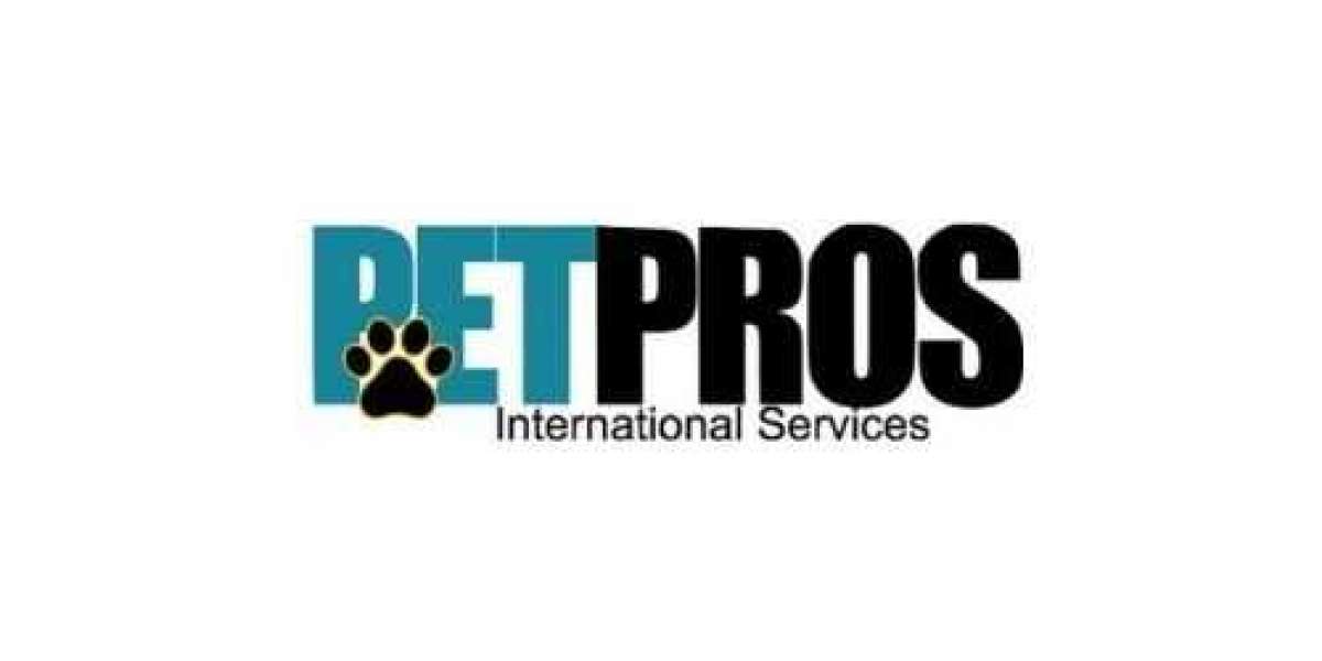 Hotel Pet Sitting Services