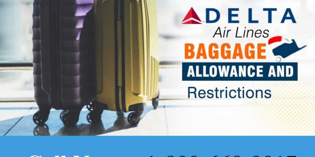 Delta Airlines Flights Lost & Found Baggage Policy Support