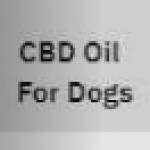 CBD Oil 4 Dogs