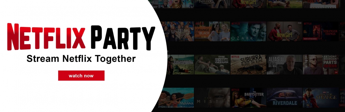 netflixparty Cover Image