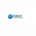 Tamsey Financial Services Ltd