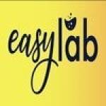 easylabseo Profile Picture