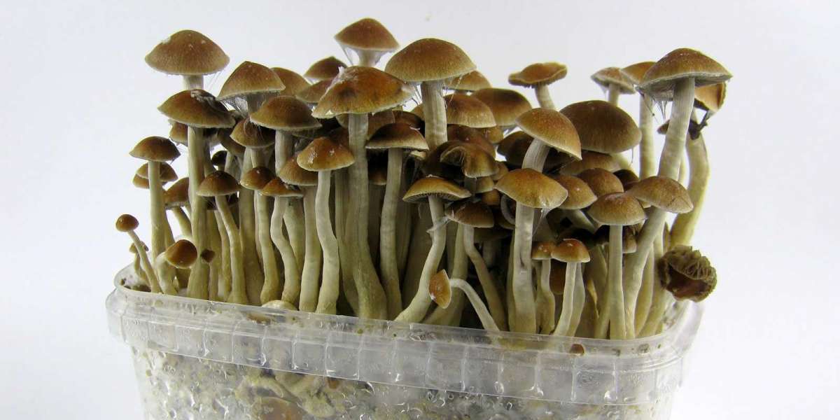 Practical Guide: How to Take Psychedelic Mushrooms