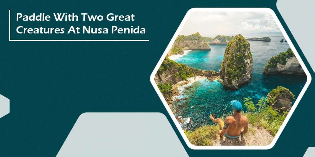 Paddle With Two Great Creatures At Nusa Penida