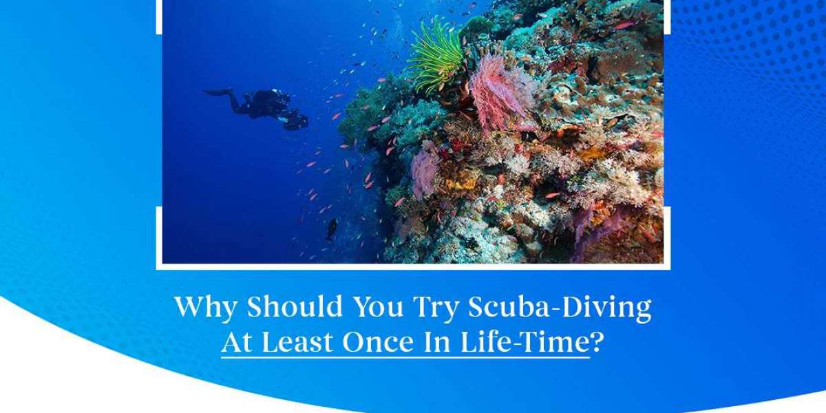 Why Should You Try Scuba-Diving At Least Once In Life-Time?