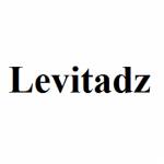 Levitadz Digital Marketing Agency