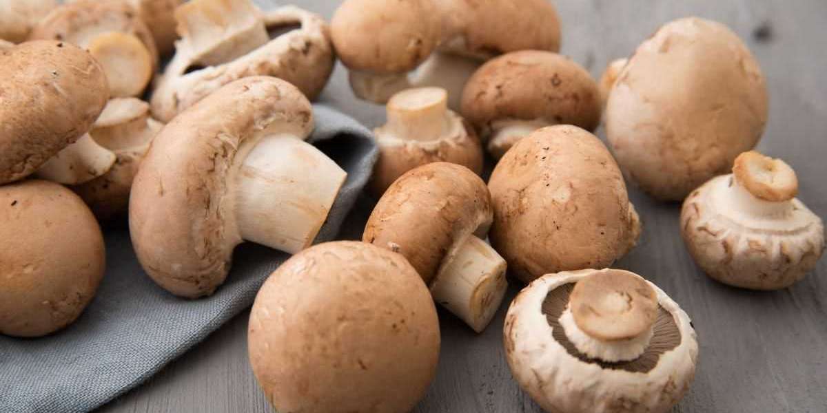 Magic Mushrooms: Benefits & Properties